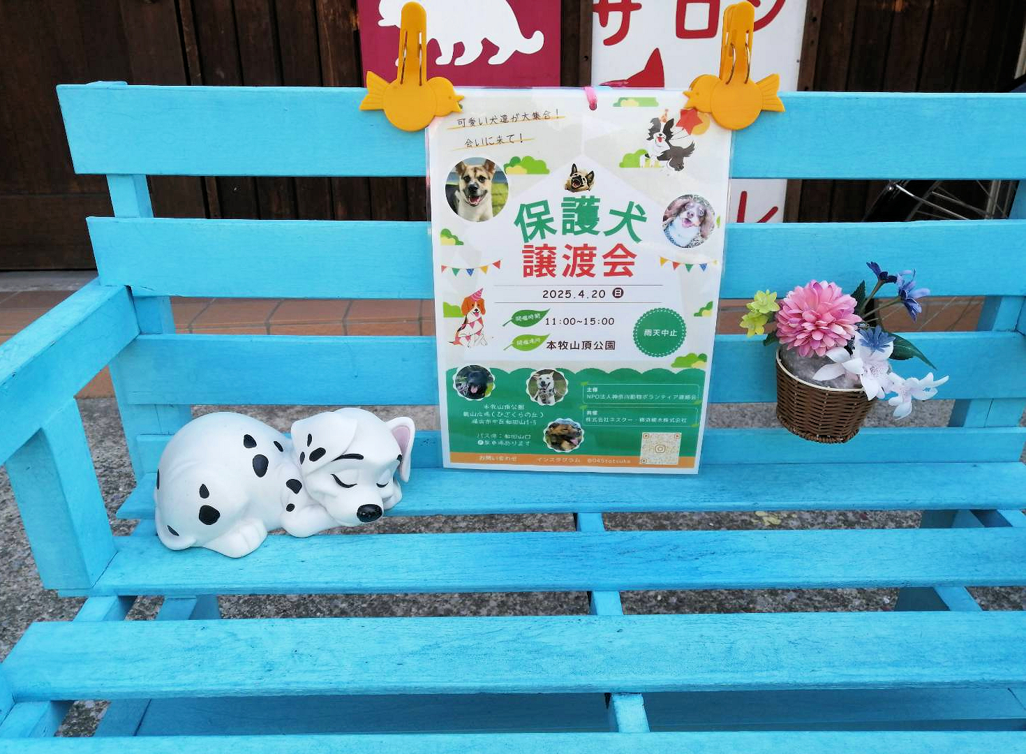 保護犬の譲渡会のお知らせ