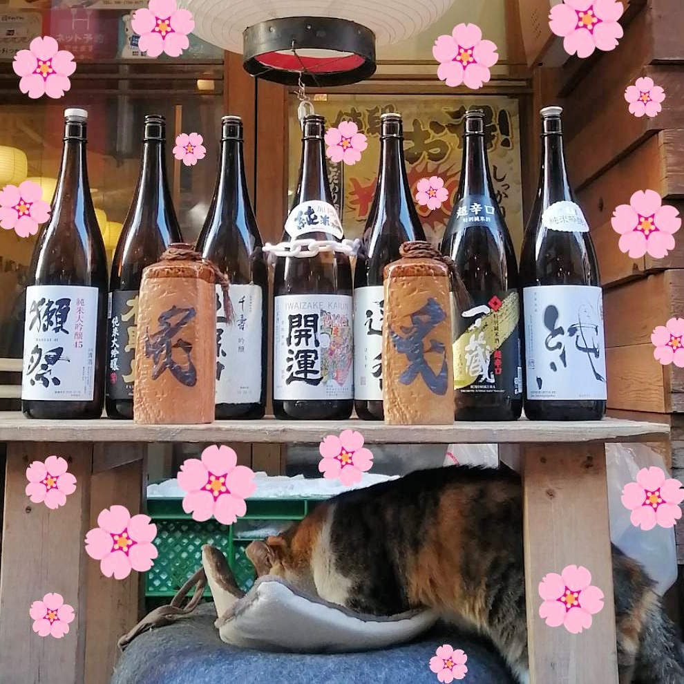 看板娘の三毛猫ミーちゃん