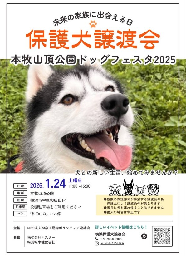 保護犬譲渡会のお知らせ